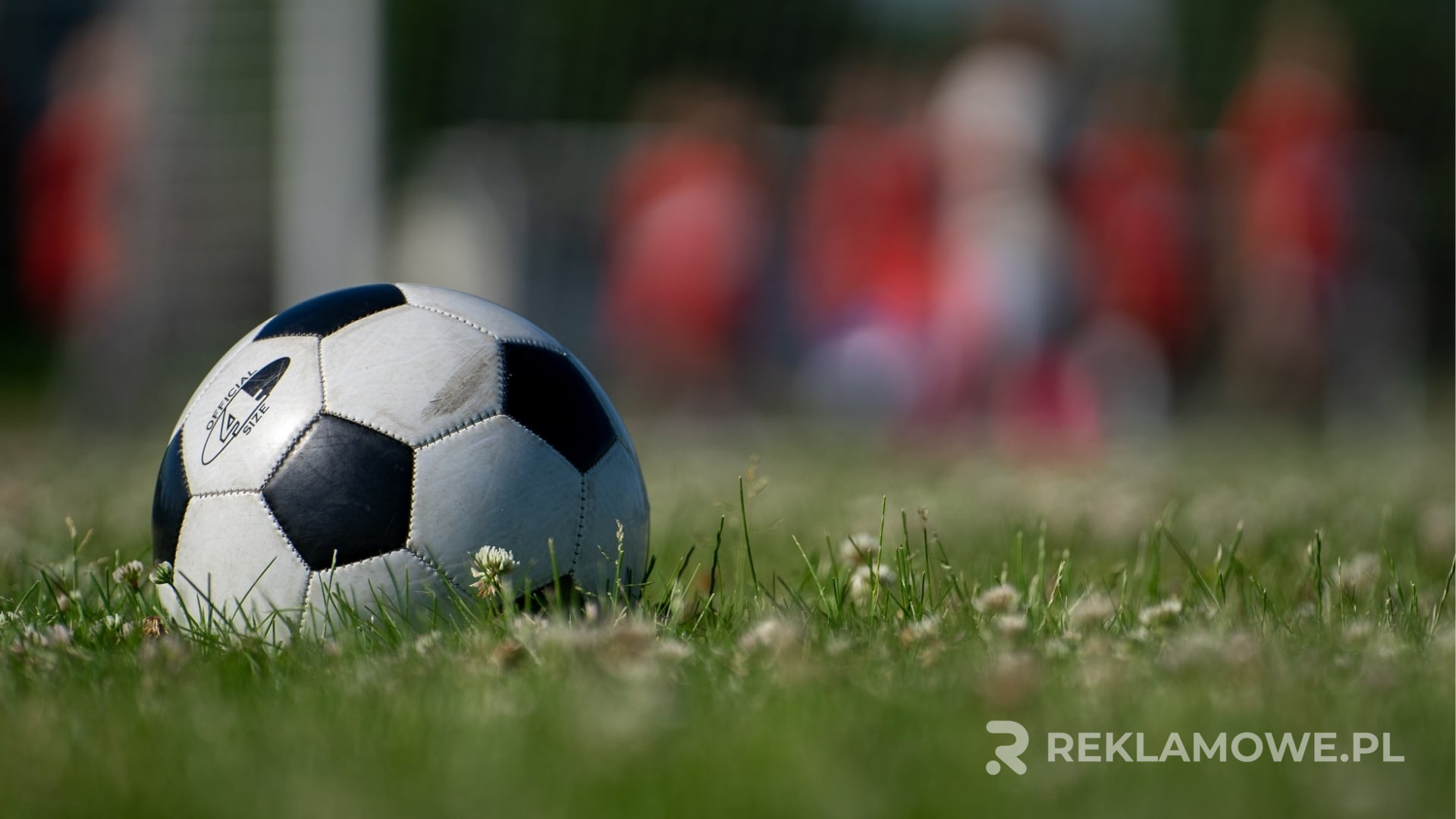 Jak wybrać ekologiczne piłki reklamowe? Ekologiczne piłki reklamowe na tle natury